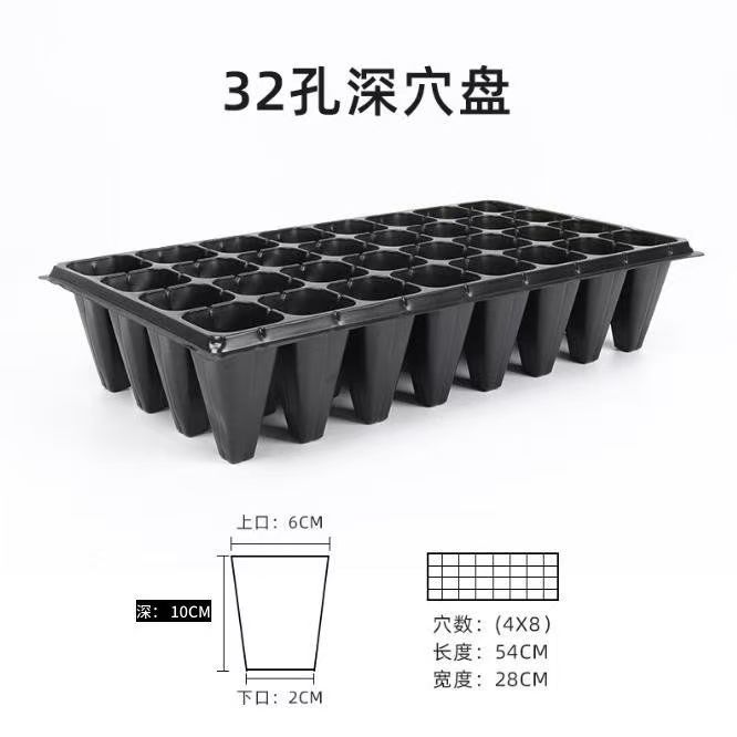 32孔深穴盘