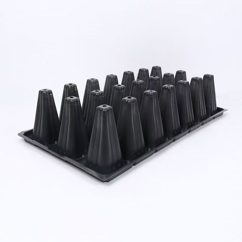 中药育苗穴盘